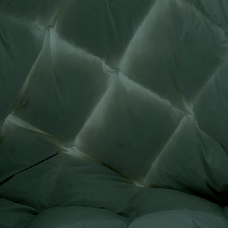 Twin Green Cotton Down Comforter with 600 Fill Power