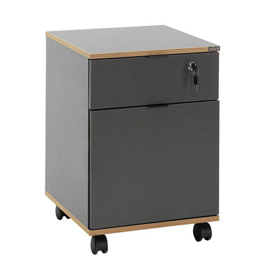 Multi Purpose Cabinet by Ebern Designs