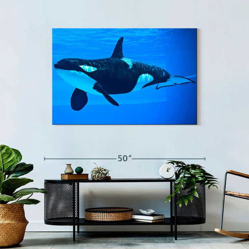 Brampt Friendly Killer Whale, 30" H x 45" W