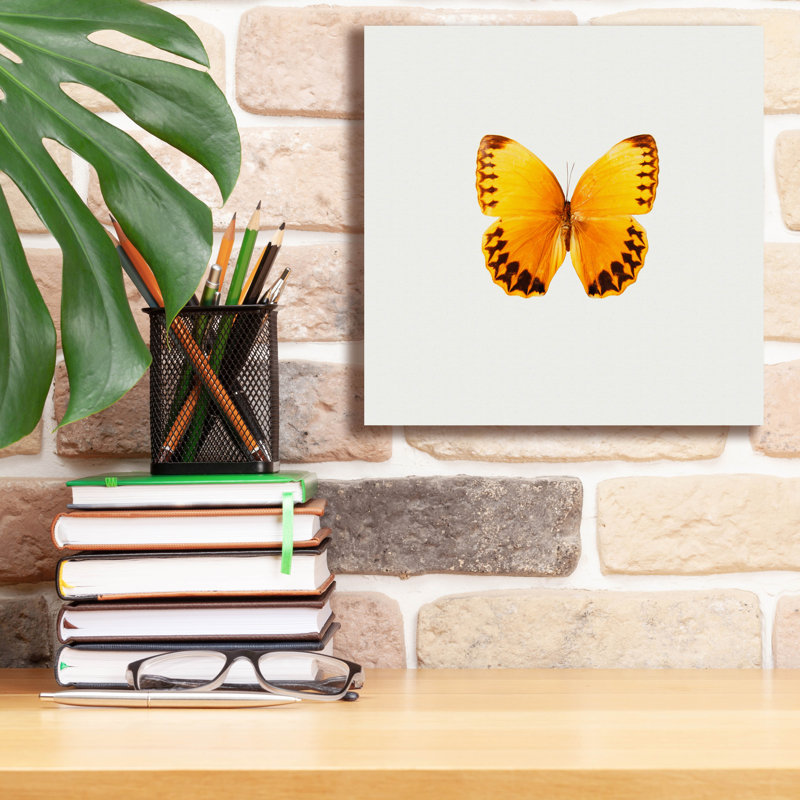 «Yellow Butterfly 2» par PhotoINC Studio, H 12 po x l 12 po x P 0,75 po