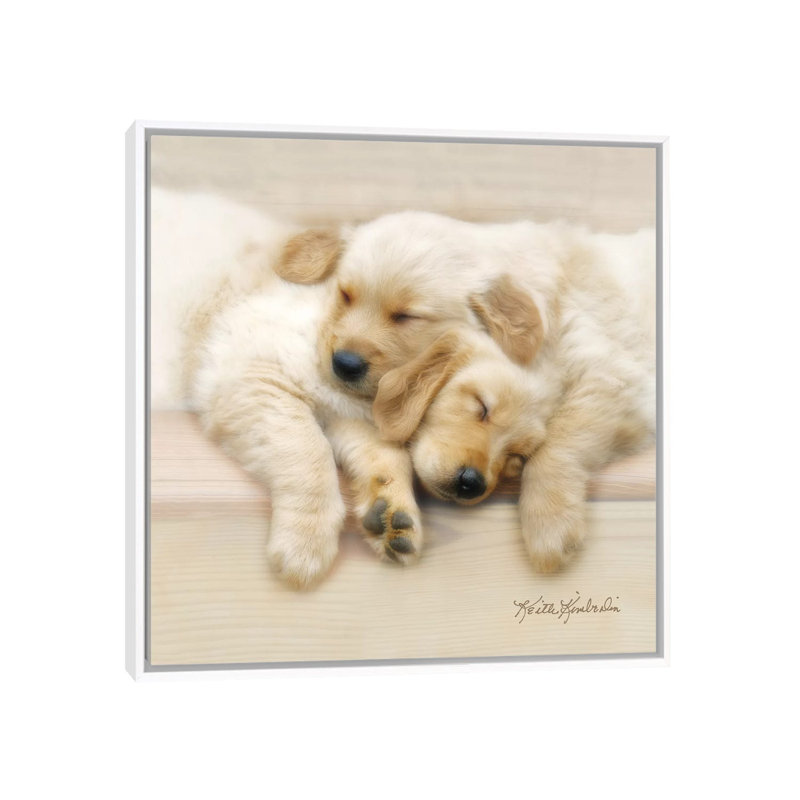 Nap Friends by Keith Kimberlin - Print on Canvas, 45.72 cm H x 45.72 cm W, White Framed