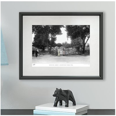 Newton Abbot, Courtenay Park 1906 by Francis Frith - Single Picture Frame Print