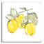 «Lemons IV» par Chris Paschke-1211785173