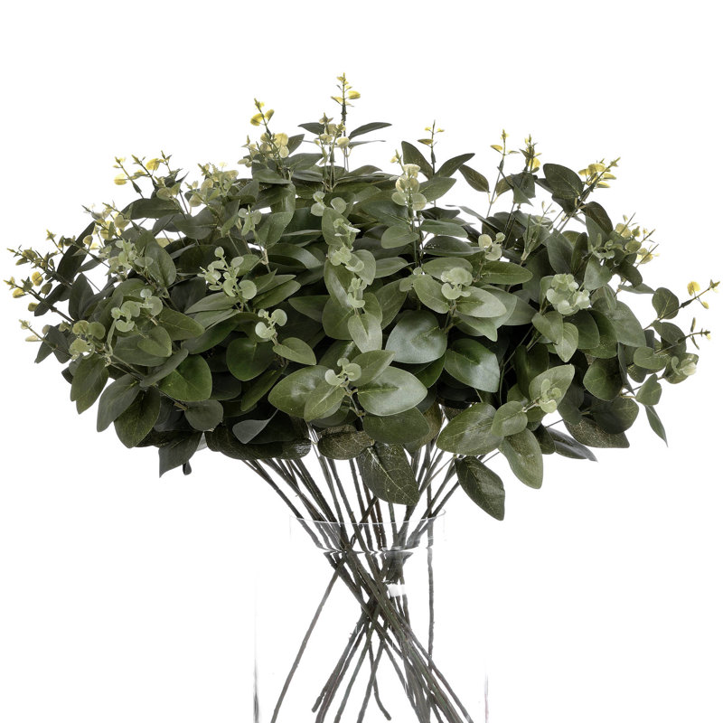 Anastasija Arrangement