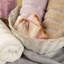 Hughbanks Midweight Jacquard Fingertip Towel-628374395