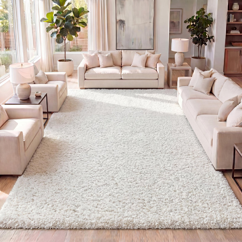 Tapis blanc à poils longs Felicdad, Rectangle 3 pi 1 po x 5 pi