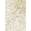 Celecot Area Rug-1082020150-1180810069