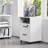 Elisbeth 16'' Wide 2 -Drawer Mobile File Cabinet-1270359372