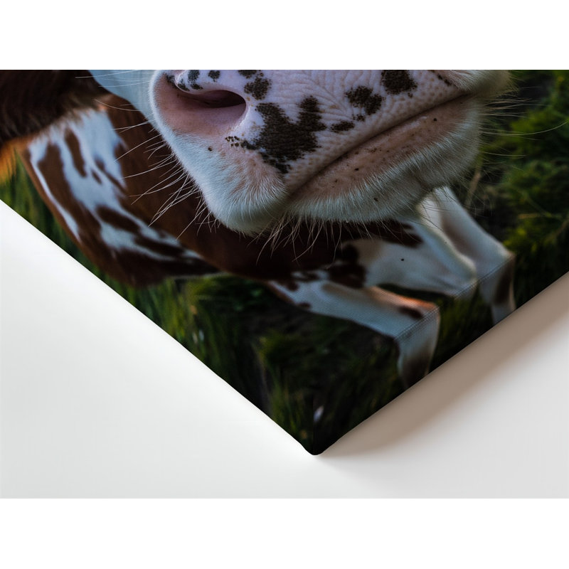 Toile, gros plan sur une vache curieuse avec de grands yeux d'art mural expressifs et un nez éblouissant, H 30 po x l 30 po