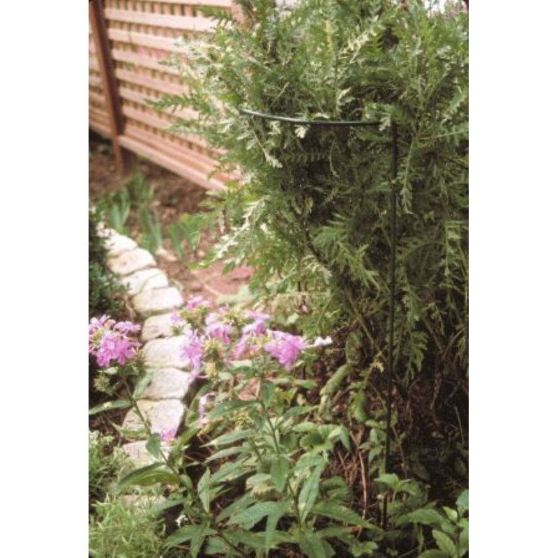 Babken Metal Plant Support, Green, 86.4cm H x 38cm W x 25.4cm D