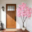 Plant-380696458