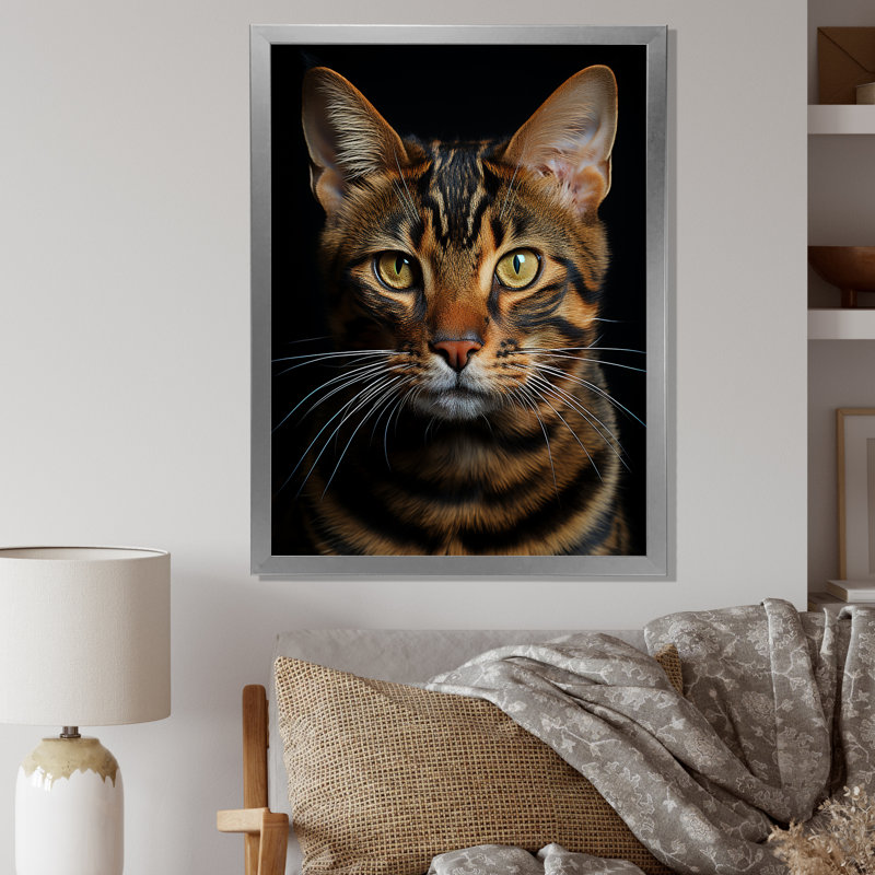 Chat, tigre, portrait de chat, H 20 po x l 12 po x P 1 po, Cadre simple argenté