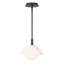 Luminaire suspendu en forme de dôme à 1 lumière DEL Moonstone