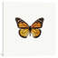 «Yellow Butterfly I», impression sur toile-21487998-72015399