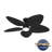Hunter 52 inch Tropic View Damp Rated Ceiling Fan with Lights and Wall Control-110404133