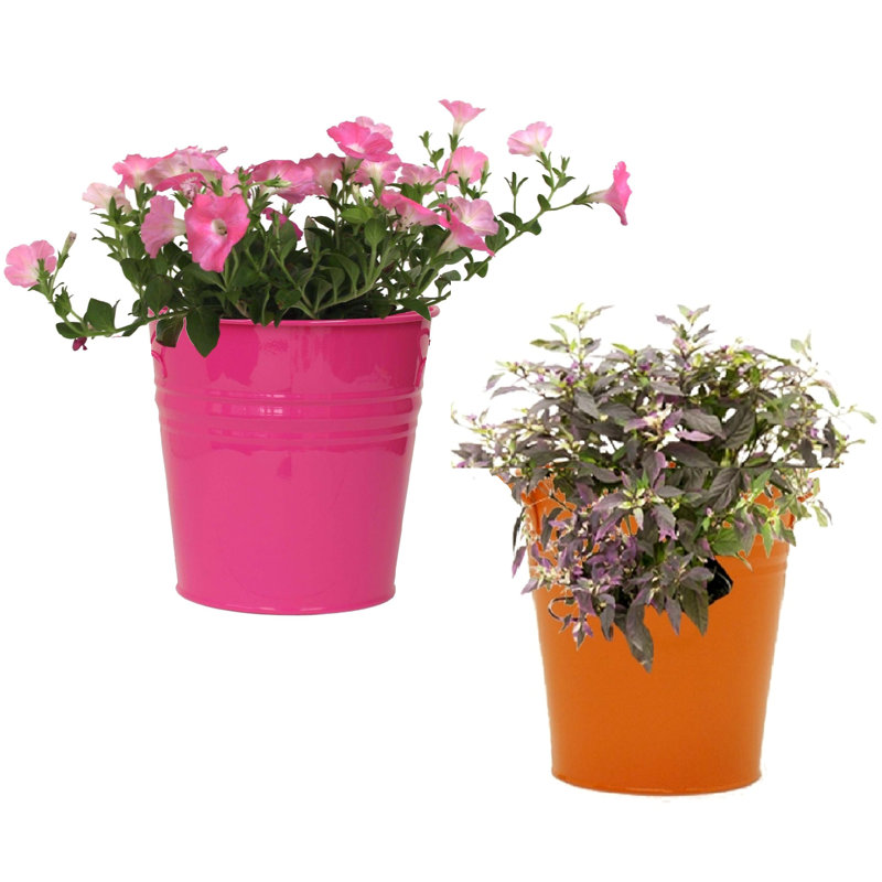 Enameled Galvanized Steel Planter For 6.5" Plants. Set Of Two, Pink/Orange