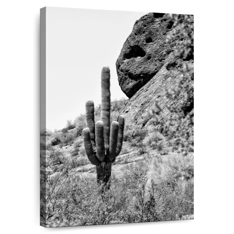 Harnek Carnegiea Gigantea Cactus, 30" H x 20" W