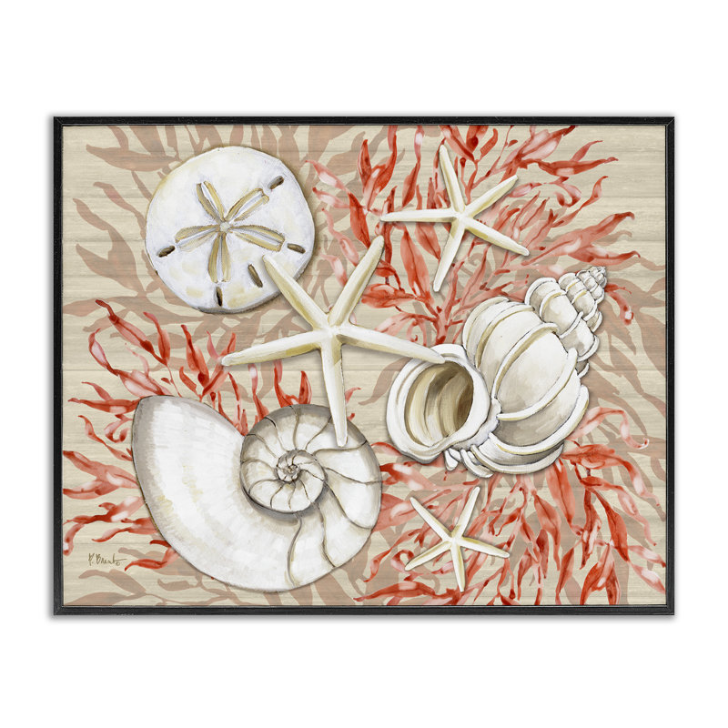 Giclée encadrée de coquillages blancs corail, design par Paul Brent, H 11 po x l 14 po, Giclée encadrée noir minuit