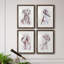 Sitting Dog I - ensemble de 4 reproductions de cadres photo-577418273-577418275