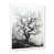 White Picture Framed