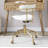 Erma Velvet Task Chair-682533657-682533654