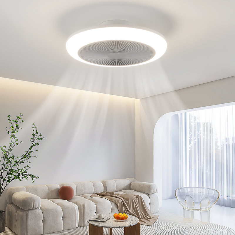 30cm Ceiling Fan with LED Lights
