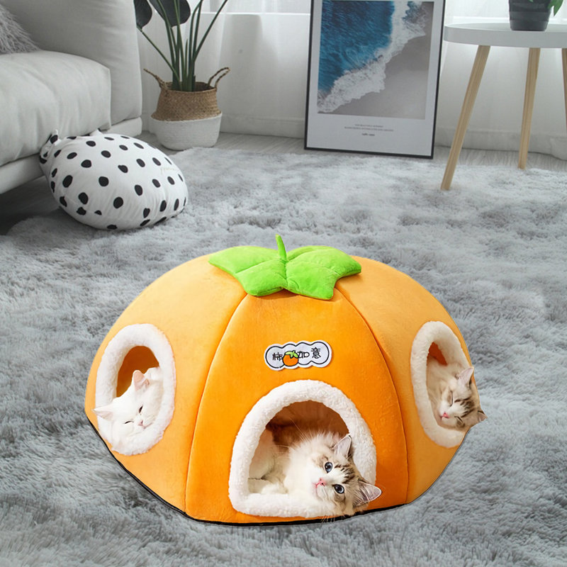 Nid de chat