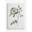 «Neutral Rose II», reproduction sur toile-26230522