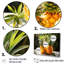 Art mural de salon tropicale ananas II - Ananas-1427953711-1490457032