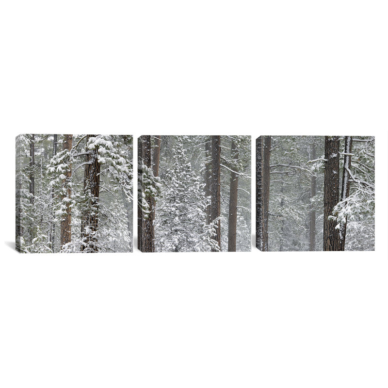 « ponderosa », ensemble de 3 reproductions de photos sur toiles tendues recouvertes de neige, H 16 po x l 48 po x P 1,5 po