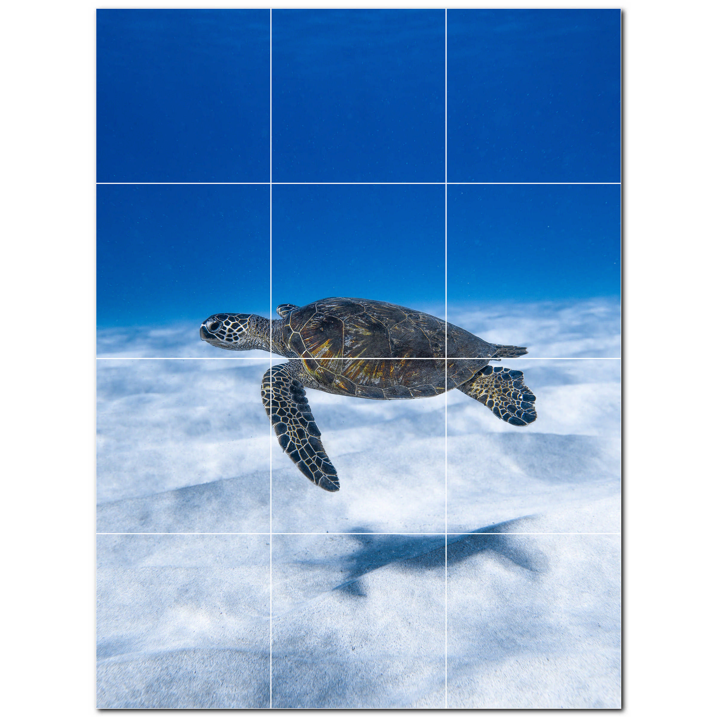 Picture tiles 24 x 32 ceramic turtle photo decorative mural tile