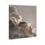 Sun Rays II Print by Oliver Gal-855454847-855454856
