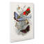 Assortment Of Butterflies PL.69 by Oliver Goldsmith - Wrapped Canvas Painting-55367339
