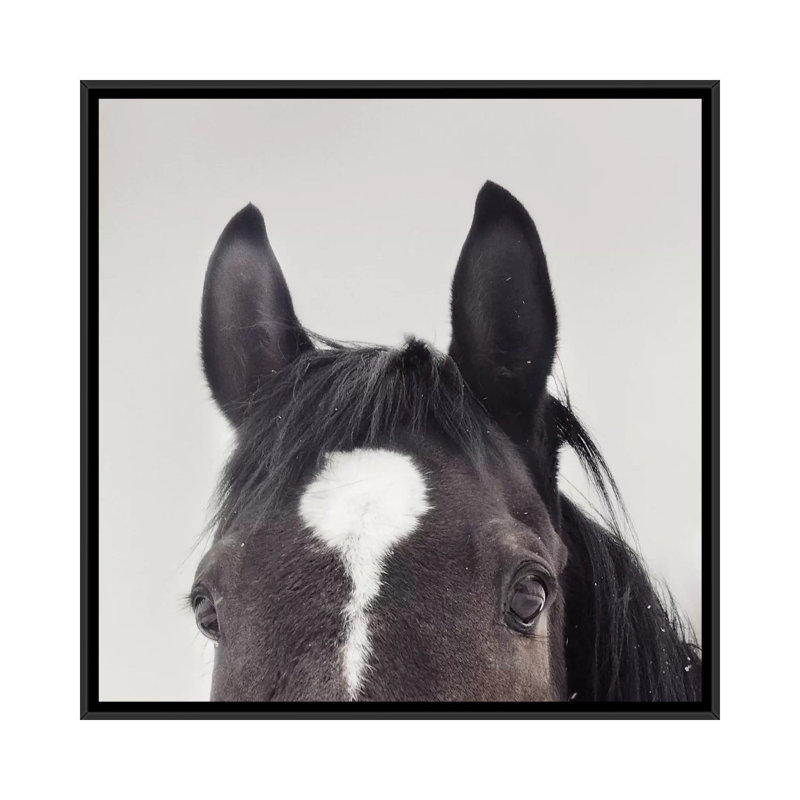 " All Ears " by Chelsea Victoria, 18" H x 18" W x 1.5" D, Black Framed Canvas, No Matte
