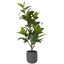 130cm Faux Magnolia Tree in Fibrestone Pot