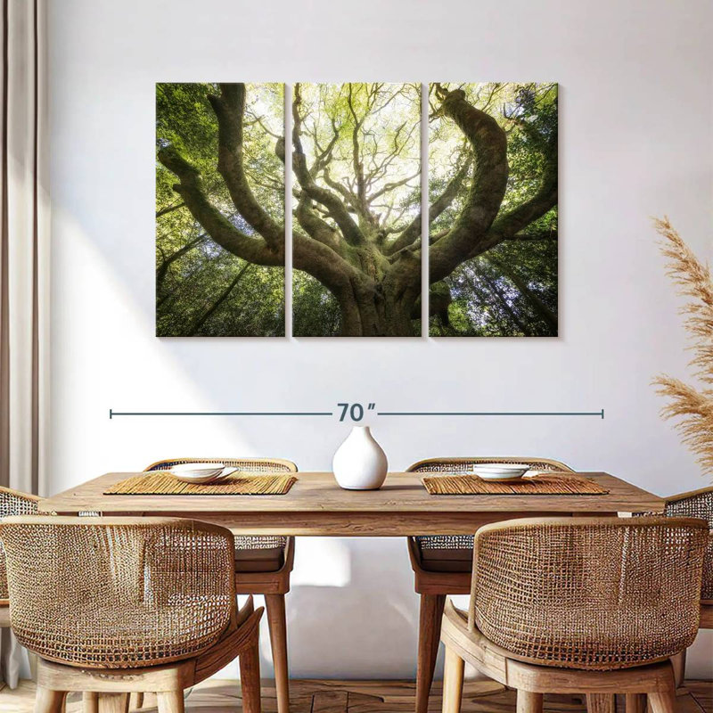 Harnek The Old Octopus Beech, 36" H x 57" W