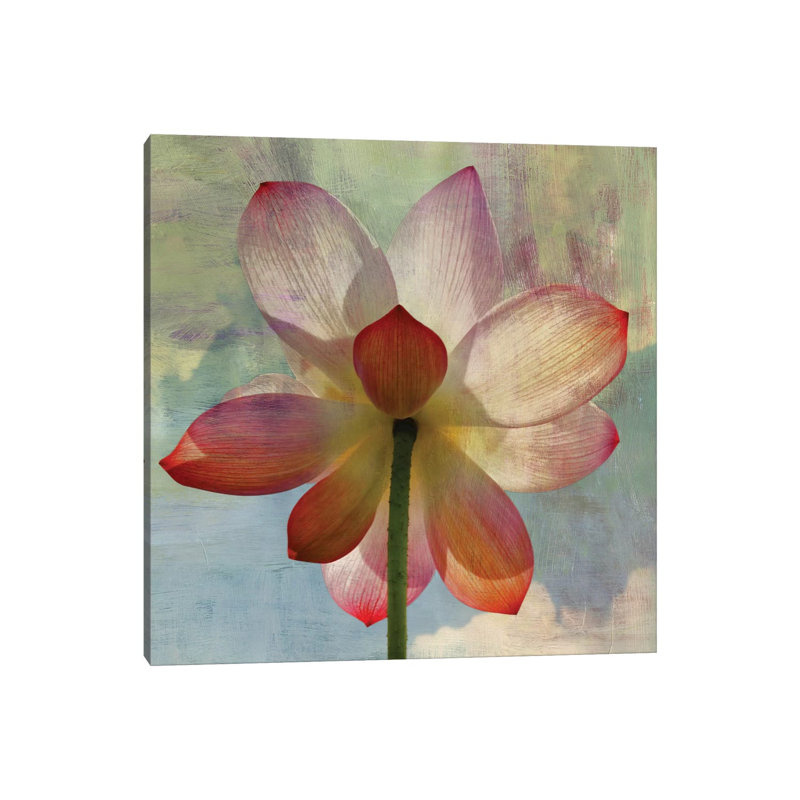 Lovely Lily II by PI Studio - Wrapped Canvas Painting, 30.48 cm H x 30.48 cm W