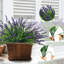 20 paquets de plantes artificielles artificielles pour l'extérieur (mauve)-316510059