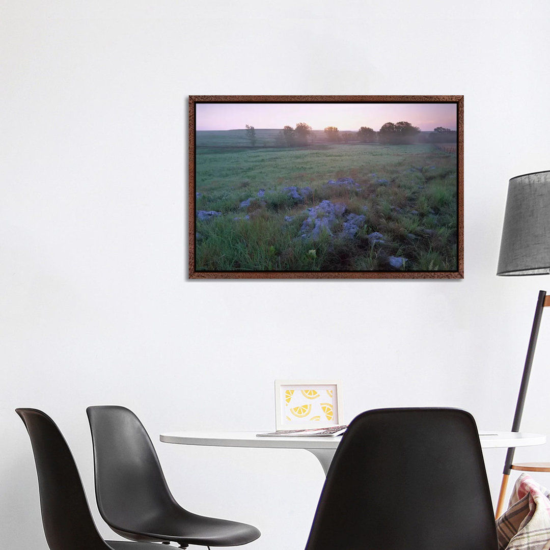 Misty Morning Over Prairie, Tallgrass Prairie National Preserve, Kansas von Tim Fitzharris - Gallery-Wrapped Canvas Gicl...