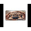 Polyester Desk Pad-358907539