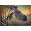 Chris Vest - Wrapped Canvas Painting-20254079
