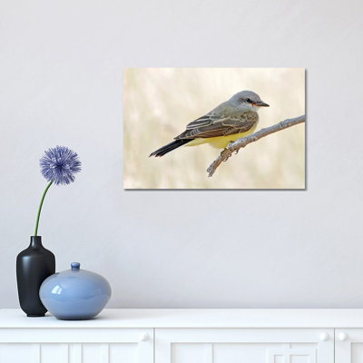 Flycatcher 1 Piece Wrapped Canvas Wall Art