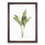 Lily of the Valley by Pierre-Joseph Redoute - Picture Frame Painting Print-55582767-55582766
