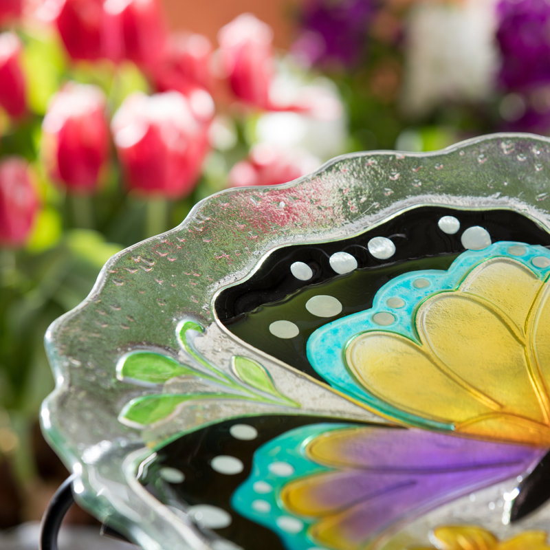 Alaza Glass Single Tier Birdbath