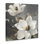Magnolias sur toile grise, art mural par Lanie Loreth