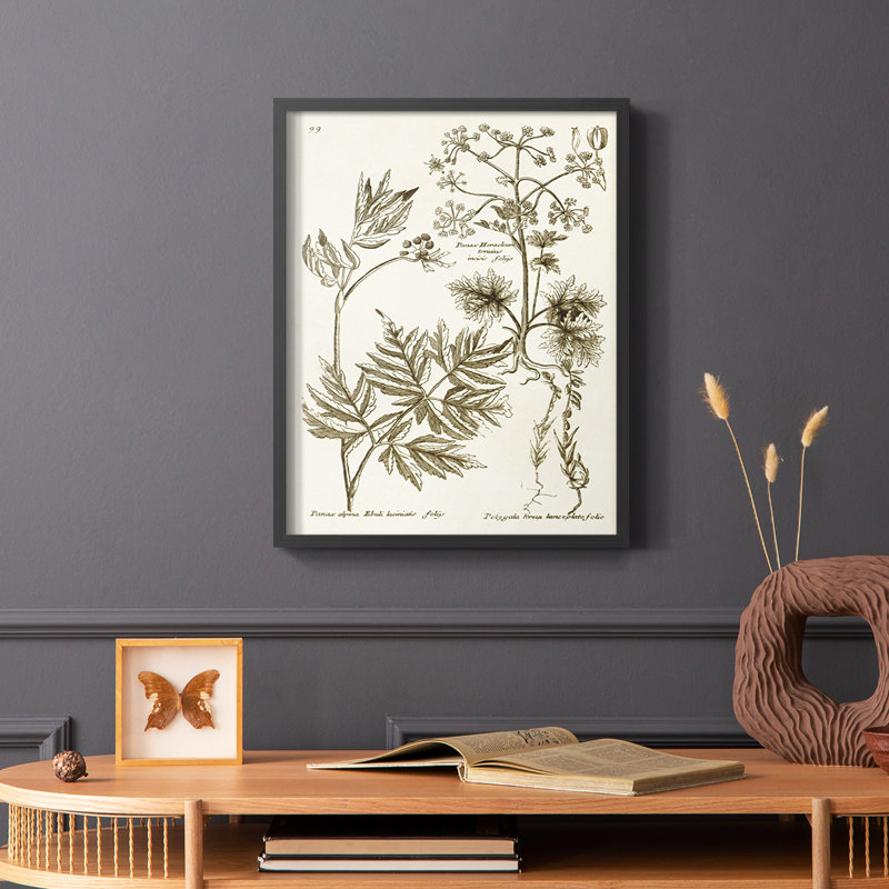 «Sepia Botanical Journal III», reproduction encadrée - bois massif, H 28 po x l 22 po, Noir