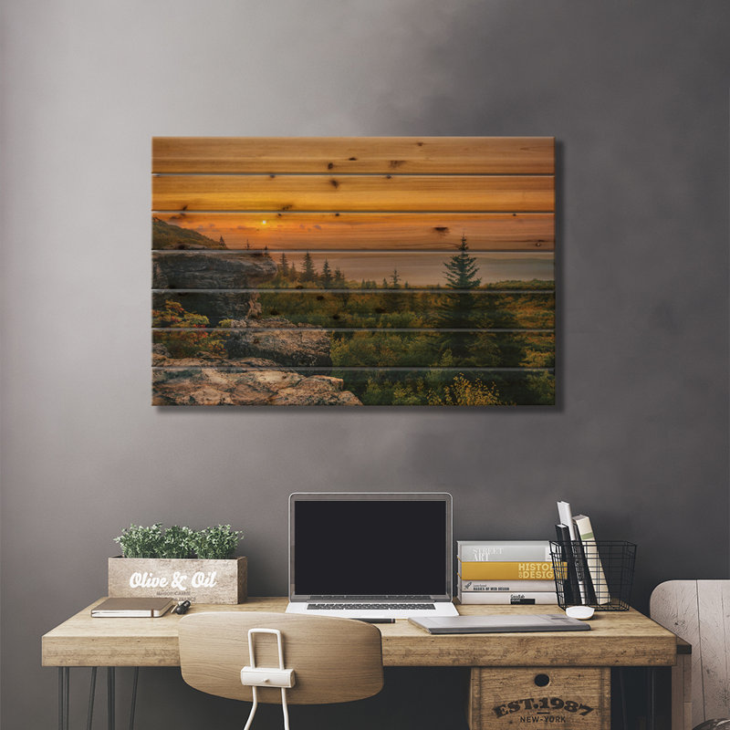Bear Bears Sunrise I, H 18 po x l 26 po x P 1,5 po