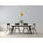 Kathlyn Chenille Ikat Indoor Rug-1556816655