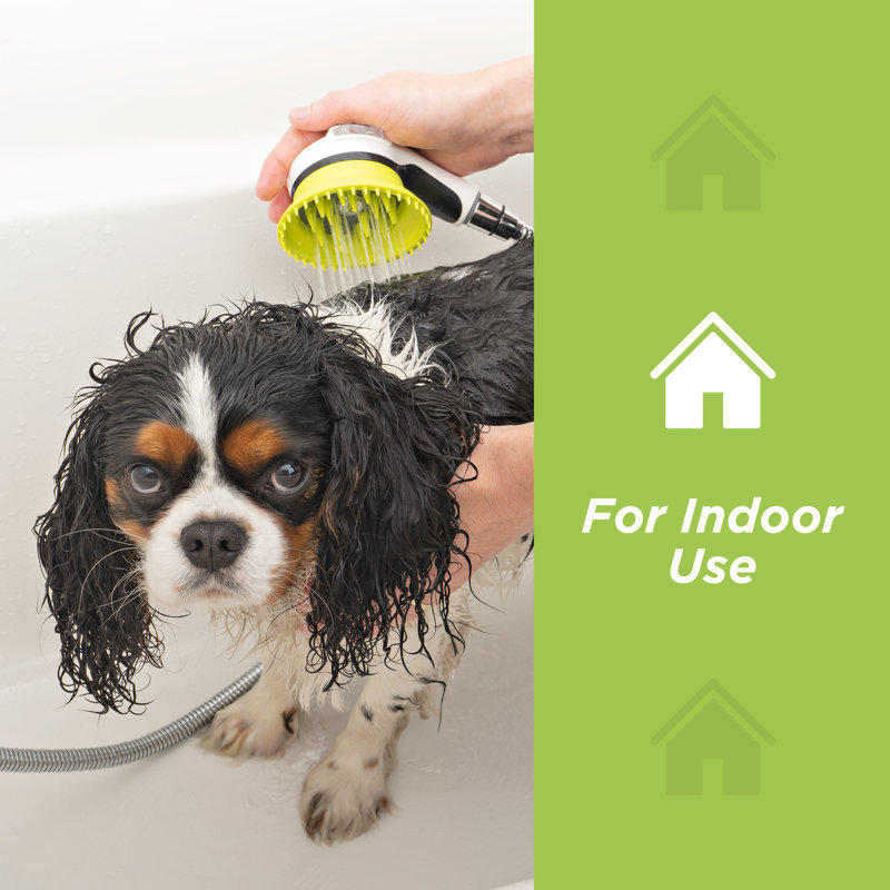 Ensemble de lavage pour chien de qualité Wondurdog