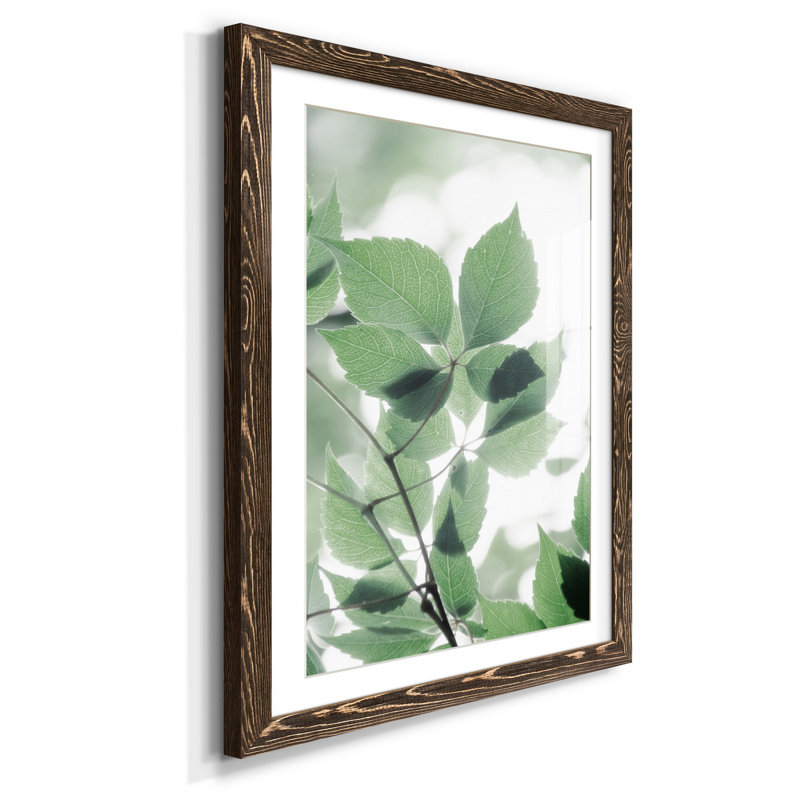 " Fields Of Green II ", 31.5" H x 23.5" W x 1.5" D, Walnut